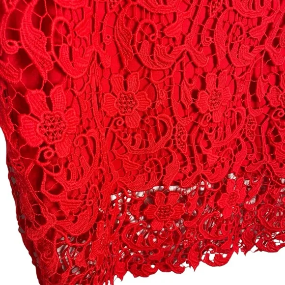 Leith Lace Pencil Skirt - Picture 2 of 5